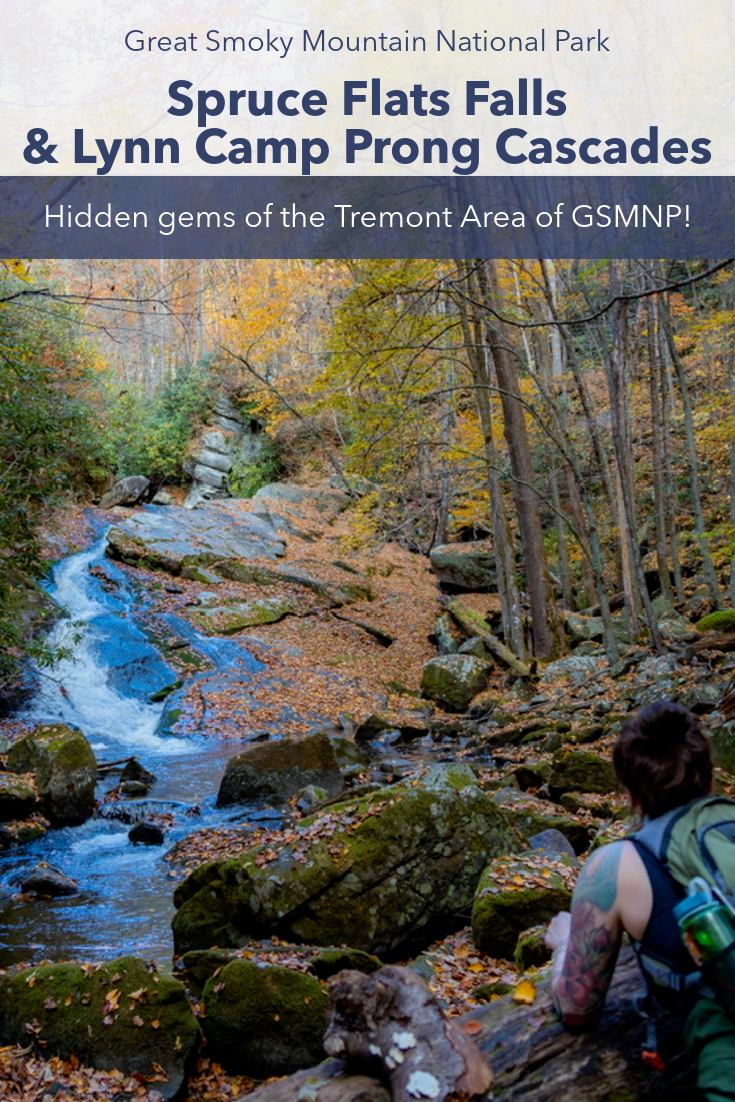 Spruce Flats Falls Lynn Camp Prong Cascades, Hidden Gems Of