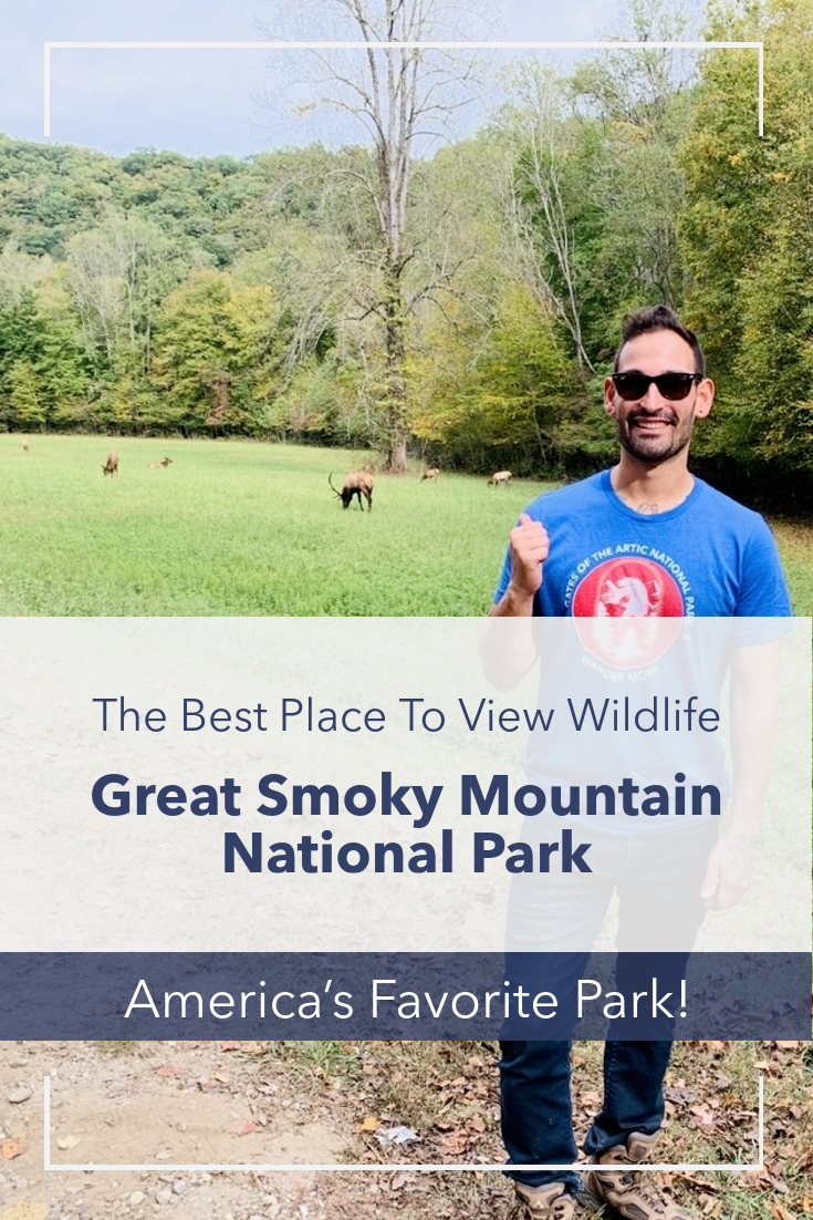 Best trails in sales smoky mountain national park