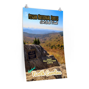 Art Loeb Trail Black Balsam Knob Summit Poster