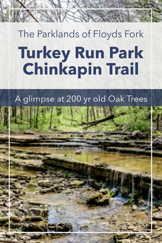 Guide to hiking Chinkapin Trail in Turkey Run Park