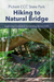 Guide to hiking Natural Bridge Trail in Pickett CCC State Park
