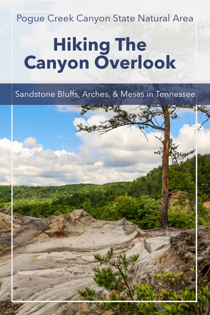 Pogue Creek Canyon, An Underrated Gem In The Cumberland Mountains of Tennessee!