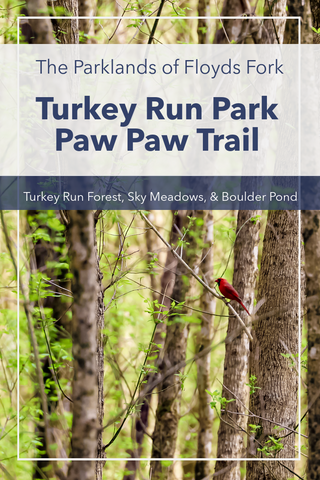 Guide to hiking the Paw Paw Trail in Turkey Run Park, Kentucky