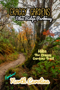 Craggy gardens trail along the blue ridge parkway in North Carolina poster
