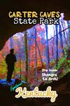 Carter Caves State Park shangra la arch Kentucky Poster 