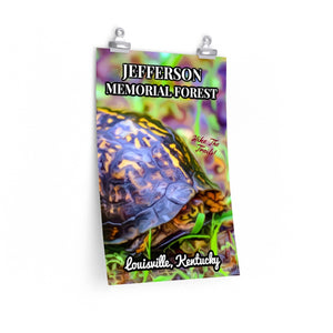Jefferson Memorial Forest Box Turtle Poster