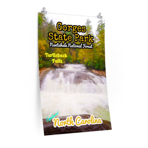 Gorges State Park Turtleback Falls Poster