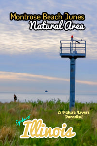 Montrose Beach Dunes Natural Area lighthouse Lake Michigan Chicago Illinois poster