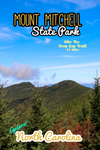 Mount Mitchell state park deep gap trail balsam cone and cattail peak North Carolina poster