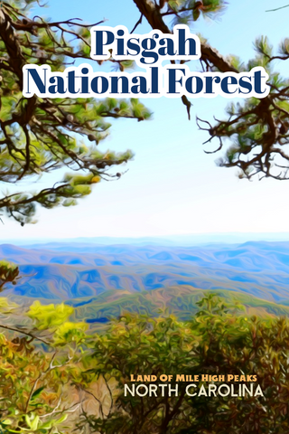 Pisgah National Forest North Carolina Blue Ridge Mountains Poster