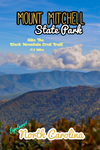 Mount Mitchell state park black mountain crest trail North Carolina poster