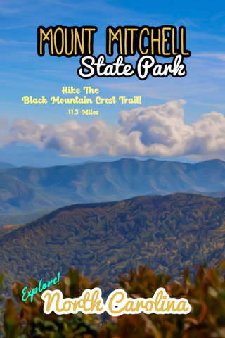 Mount Mitchell state park black mountain crest trail North Carolina poster