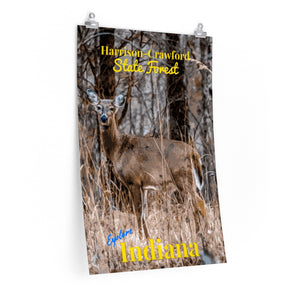 Harrison-Crawford State Forest Poster