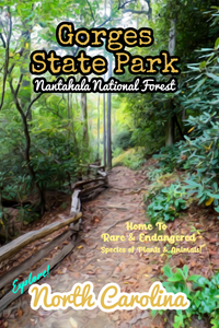 Gorges state park rainbow falls hiking trail North Carolina poster