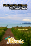 Montrose Beach Dune Natural Area Chicago Skyline Poster Illinois