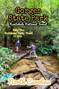 Gorges state park nantahala National forest North Carolina poster