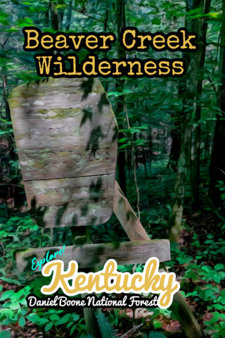 Beaver Creek Wilderness in Daniel Boone National Forest of Kentucky Poster