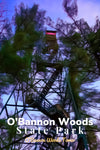 O’Bannon Woods State Park Indiana Fire Tower Poster