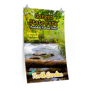 Gorges State Park Land Of Waterfalls Poster