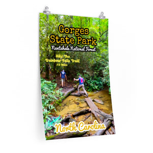 Gorges State Park Nantahala National Forest Poster