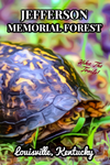 Jefferson Memorial Forest Kentucky Turtle Poster 