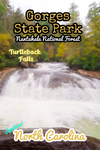 Gorges state park Turtleback falls waterfall North Carolina poster