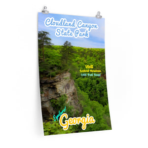 Cloudland Canyon State Park Cliff Overlook Poster