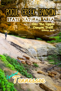Pogue Creek canyon state natural area upper canyon trail killdeer arch poster Tennessee 