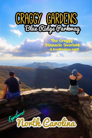 Craggy gardens blue ridge parkway craggy pinnacle overlook poster north carolina