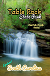 Carrick creek falls waterfall in table rock state park South Carolina poster