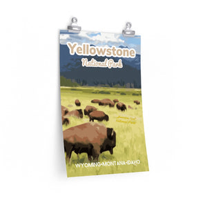Yellowstone National Park Bison Poster
