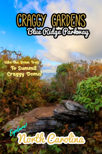 Craggy Gardens Craggy Dome summit overlook blue ridge parkway North Carolina poster 