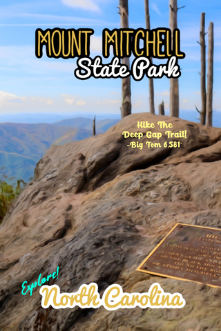 Mount Mitchell state park big Tom peak North Carolina poster