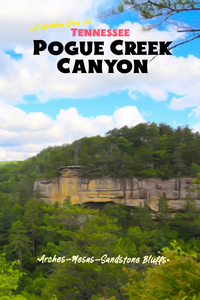 Pogue Creek Canyon State Nature Preserve Tennessee Poster
