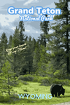 Grand Teton National Park Grizzly Poster Wyoming