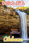 DeSoto Falls Picnic Area Waterfall Rappelling Poster Alabama