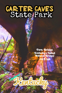 Carter Caves State Park fern bridge arch along three bridges trail Kentucky poster