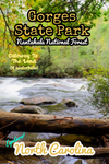 Gorges state park waterfalls North Carolina poster