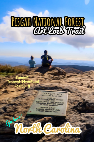 Art loeb hiking trail Tennent Mountain summit overlook Pisgah National Forest North Carolina poster