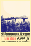 Clingmans Dome Great Smoky Mountain National Park Tennessee Poster 