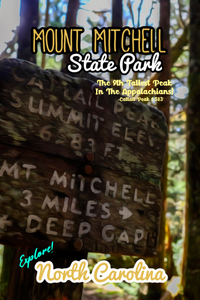 Mount Mitchell state park cattail peak deep gap trail North Carolina poster 