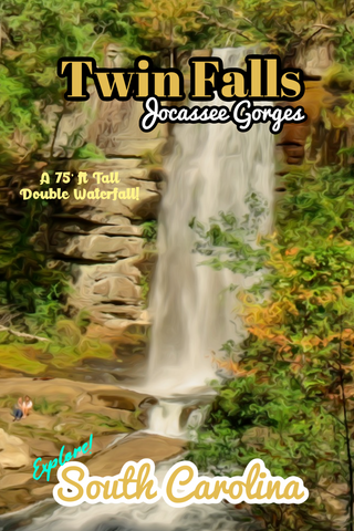 Jocassee gorges twin falls waterfall South Carolina poster 