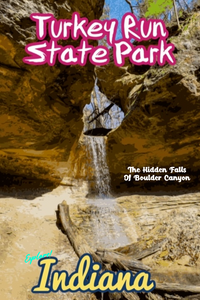 Turkey Run State Park Falls of Boulder Canyon Waterfall Poster Indiana 