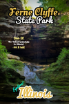 Ferne  Clyffe state park Shawnee National forest Illinois poster