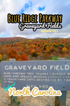 Graveyard fields overlook blue ridge parkway North Carolina poster 