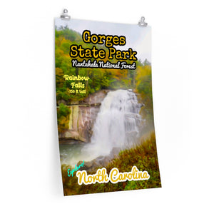 Gorges State Park Rainbow Falls Poster