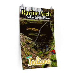 Yellow Birch Ravine Arch Poster