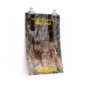 Harrison-Crawford State Forest Whitetail Deer Indiana Poster