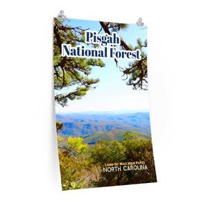 Pisgah National Forest Poster