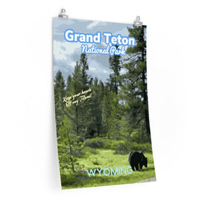 Grand Teton National Park Wyoming Grizzly Poster